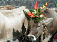 Klik op de foto voor groter formaat